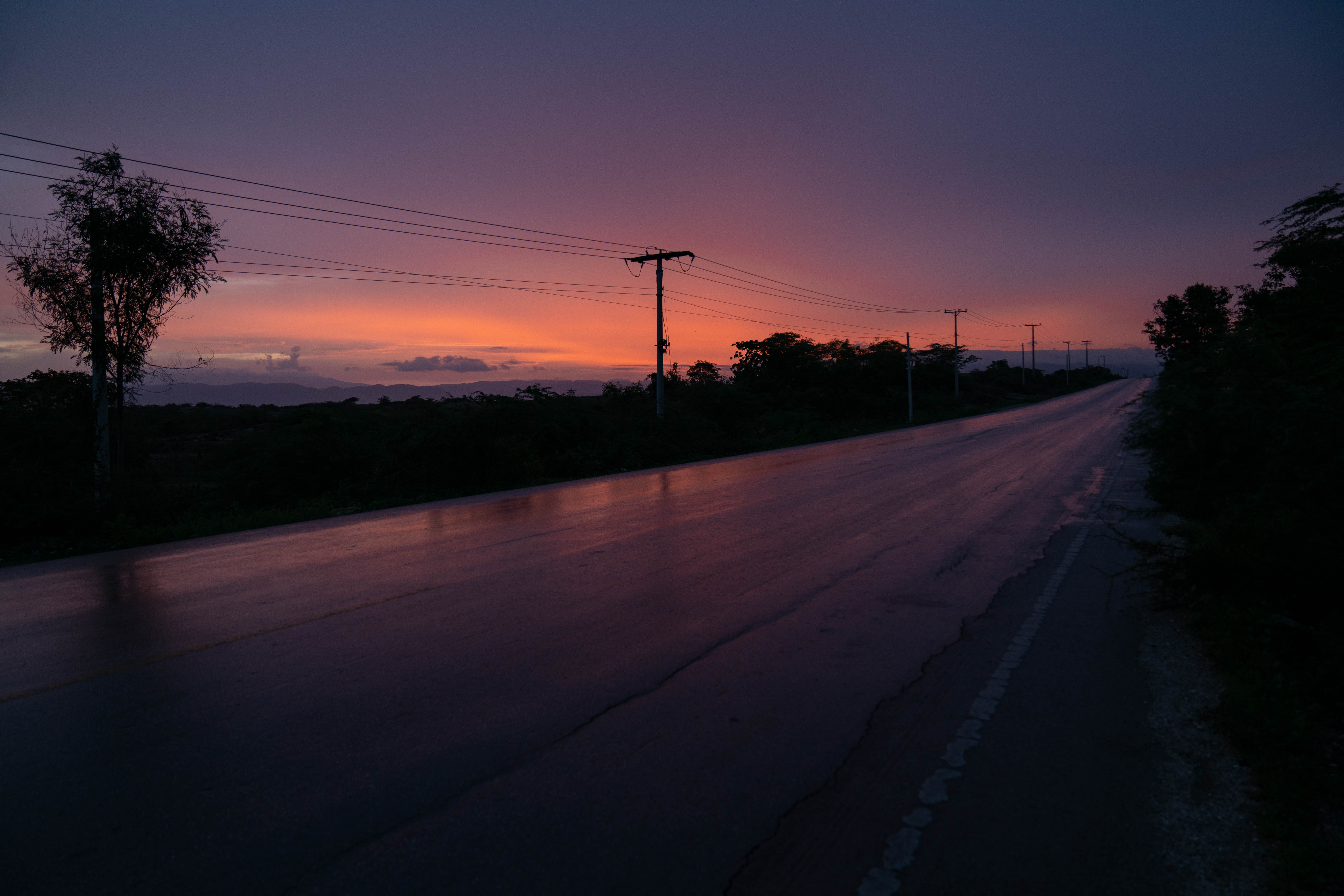 Paddy Moynahan Photography