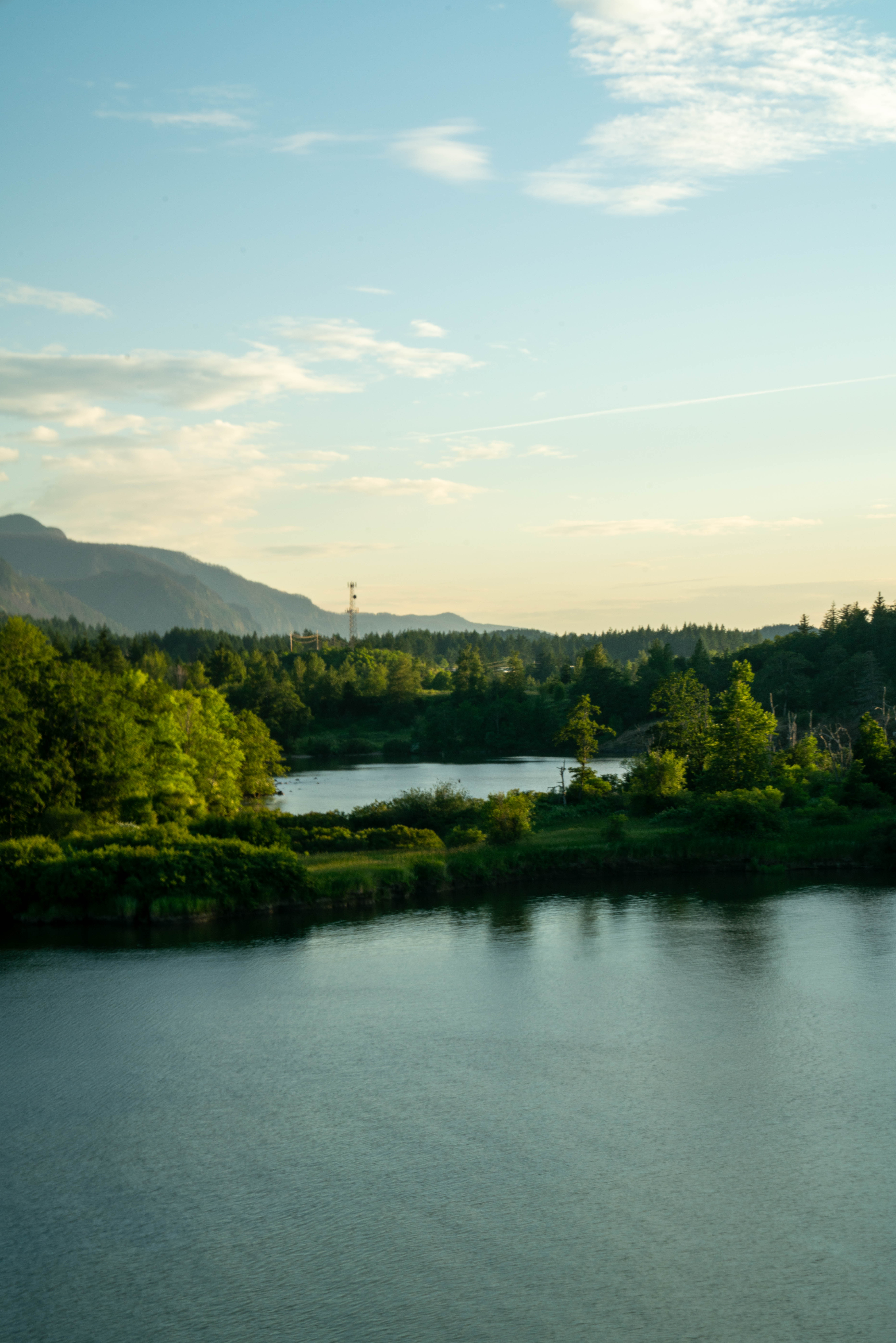 Paddy Moynahan Photography