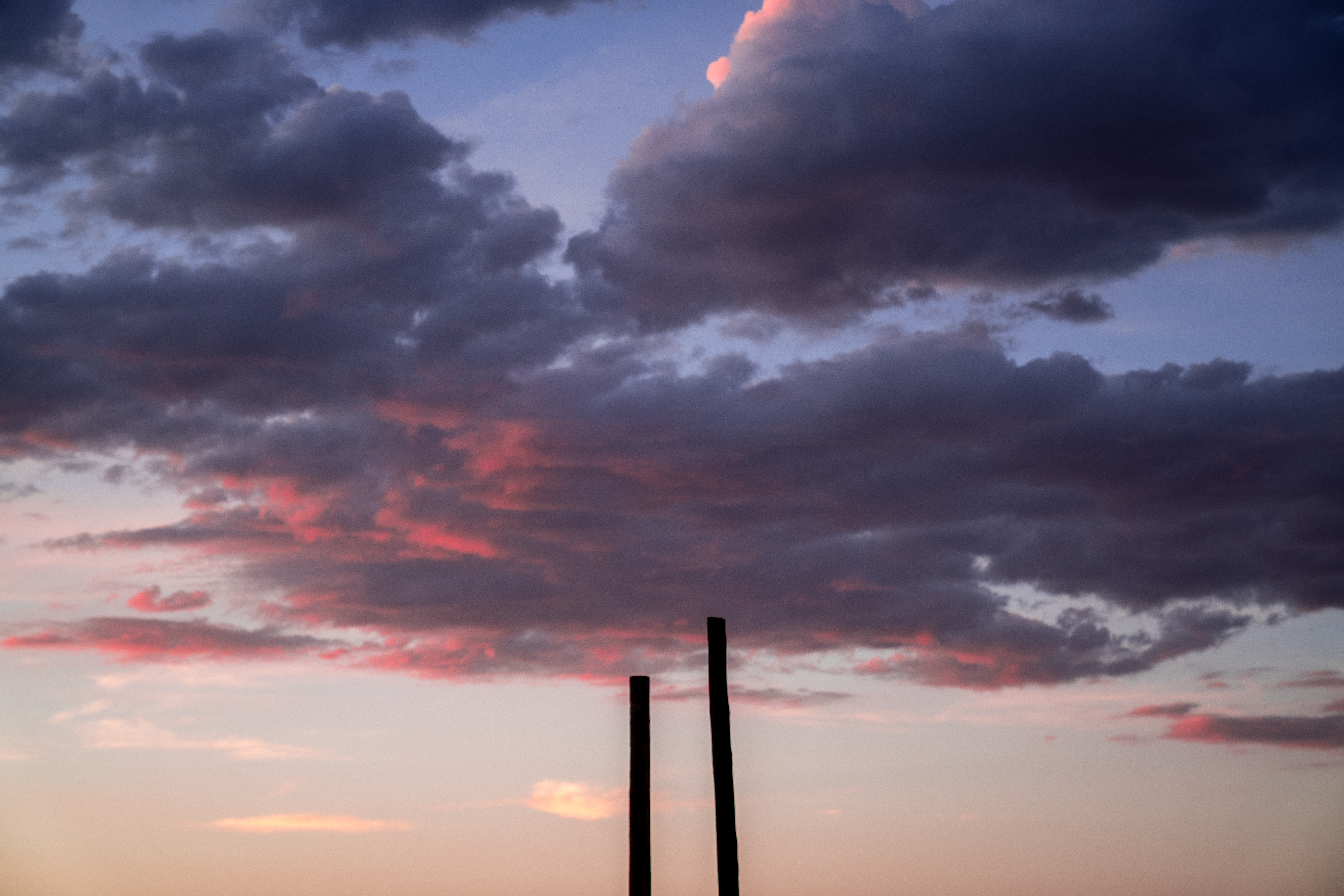 Paddy Moynahan Photography